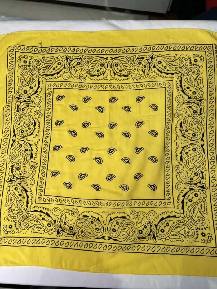 73A4D23B-0E50-4795-BB98-F1E8E17A0933 باندانا - Image 1