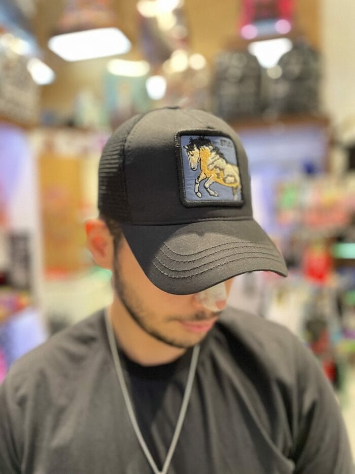 8DDF5DB9-30EC-4701-A0DF-79B6A6FB5AB4 کلاه گورین - Image 1