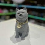 اسپیکر گربه