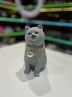 اسپیکر گربه