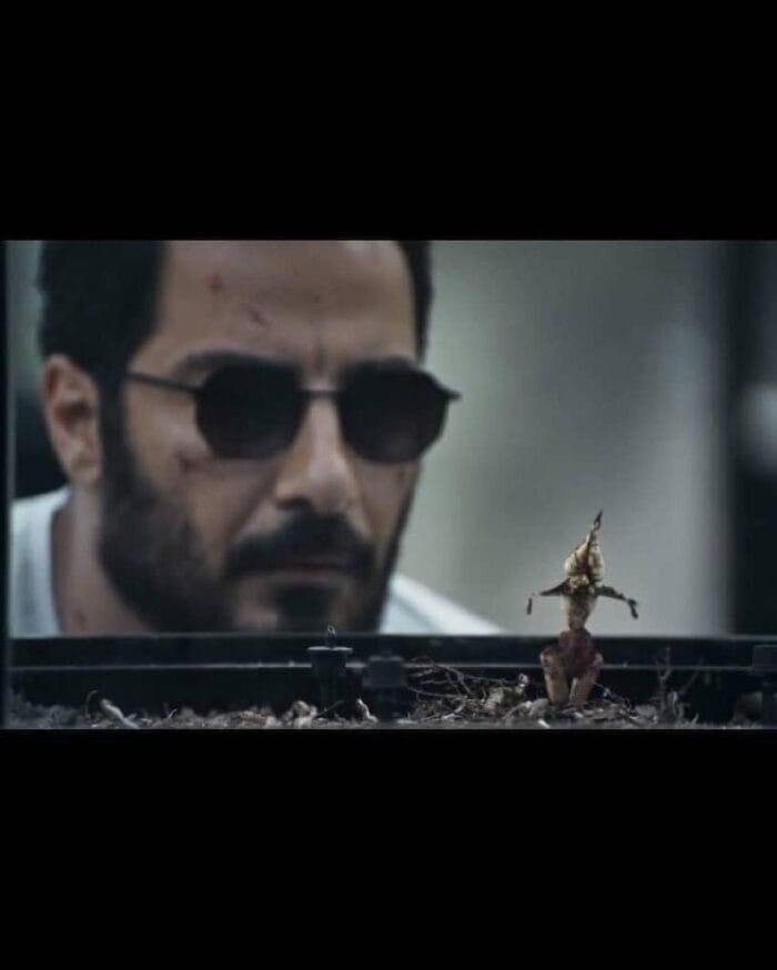 عینک نوید محمدزاده - Image 2