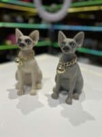 اسپیکر گربه - Image 3