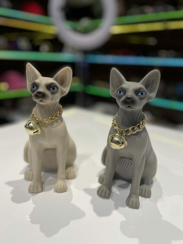 A104C25E-587C-45BC-8EDB-29B097CDA732 اسپیکر گربه - Image 1