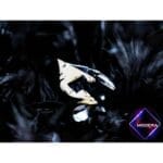 انگشتر گلادیاتور زخمی - Image 3