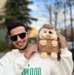 عروسک جوجه تیغی