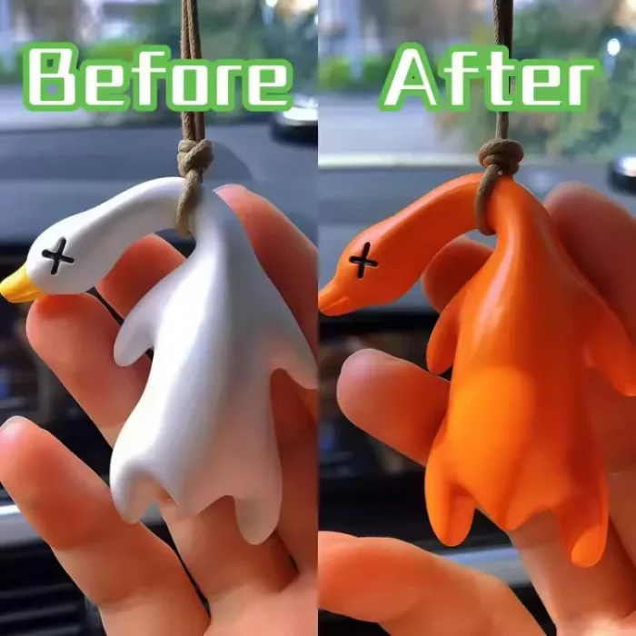 IMG_8274 آویز اردک - Image 1