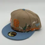 کلاه فیت بک