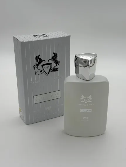 ادوپرفیوم نایس مدل مارلی گالووی Marly Galloway حجم 100 میلی لیتر